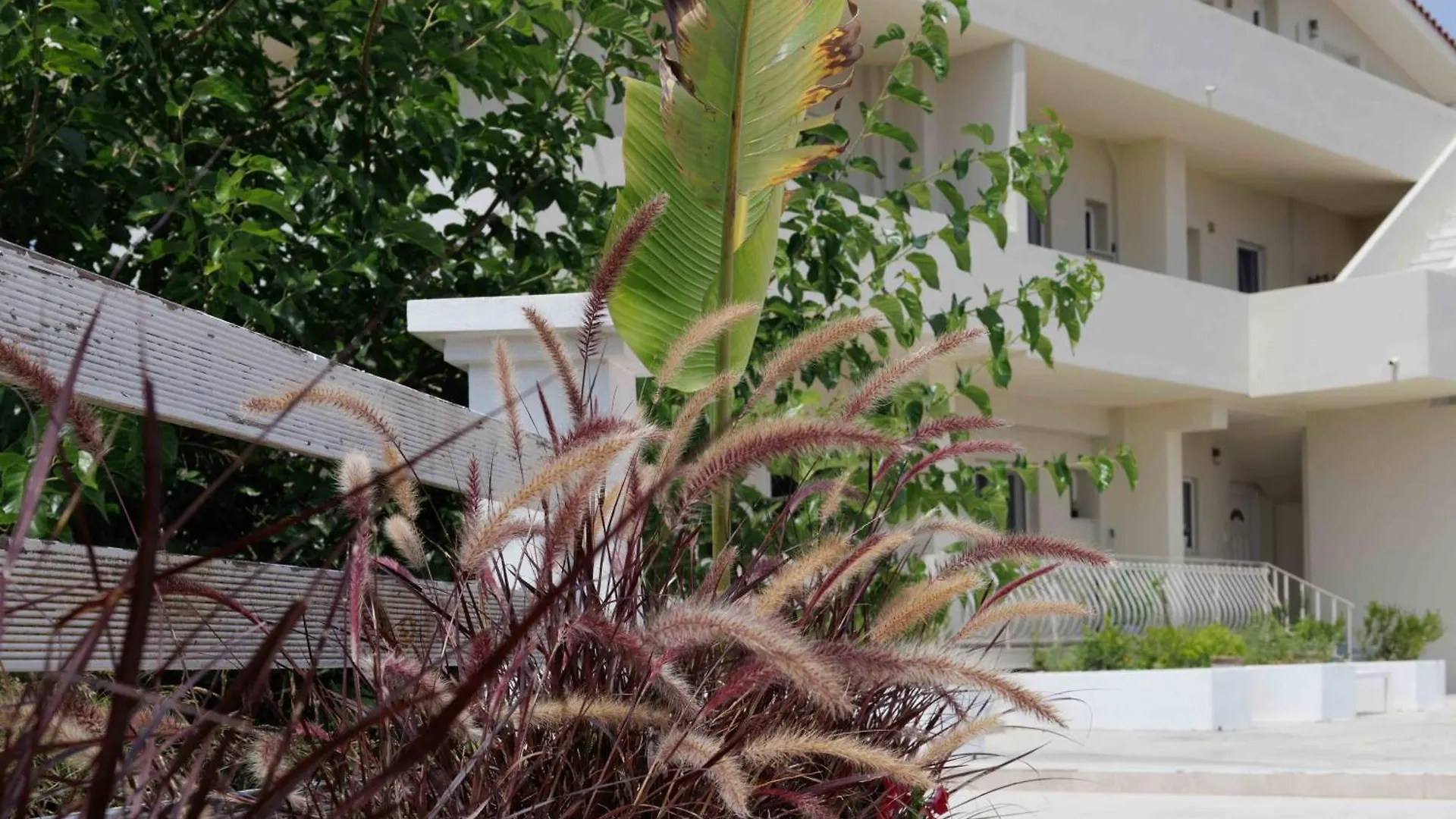 Maggana Residence Minia Apartment